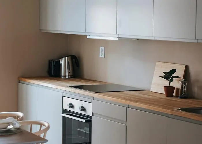 Dinbnb Grunerlokka I 3-bedroom With Balcony 公寓 奥斯陆